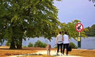 Baum am See mit Hund + Personen.jpg