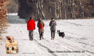 Spaziergang im Schnee mit Hund.jpg