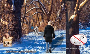 Winterweg mit Frau + Dalmatina.jpg