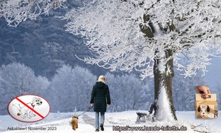 winter mit Baum und Bank frau + Hund Kopie.jpg